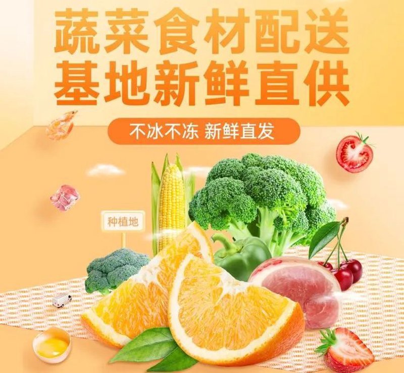 如何优化农产品物流,提升运输效率?